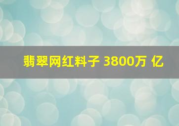 翡翠网红料子 3800万 亿